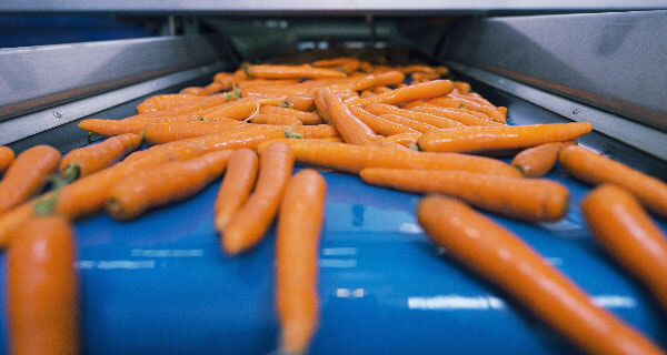 Food Processing Image